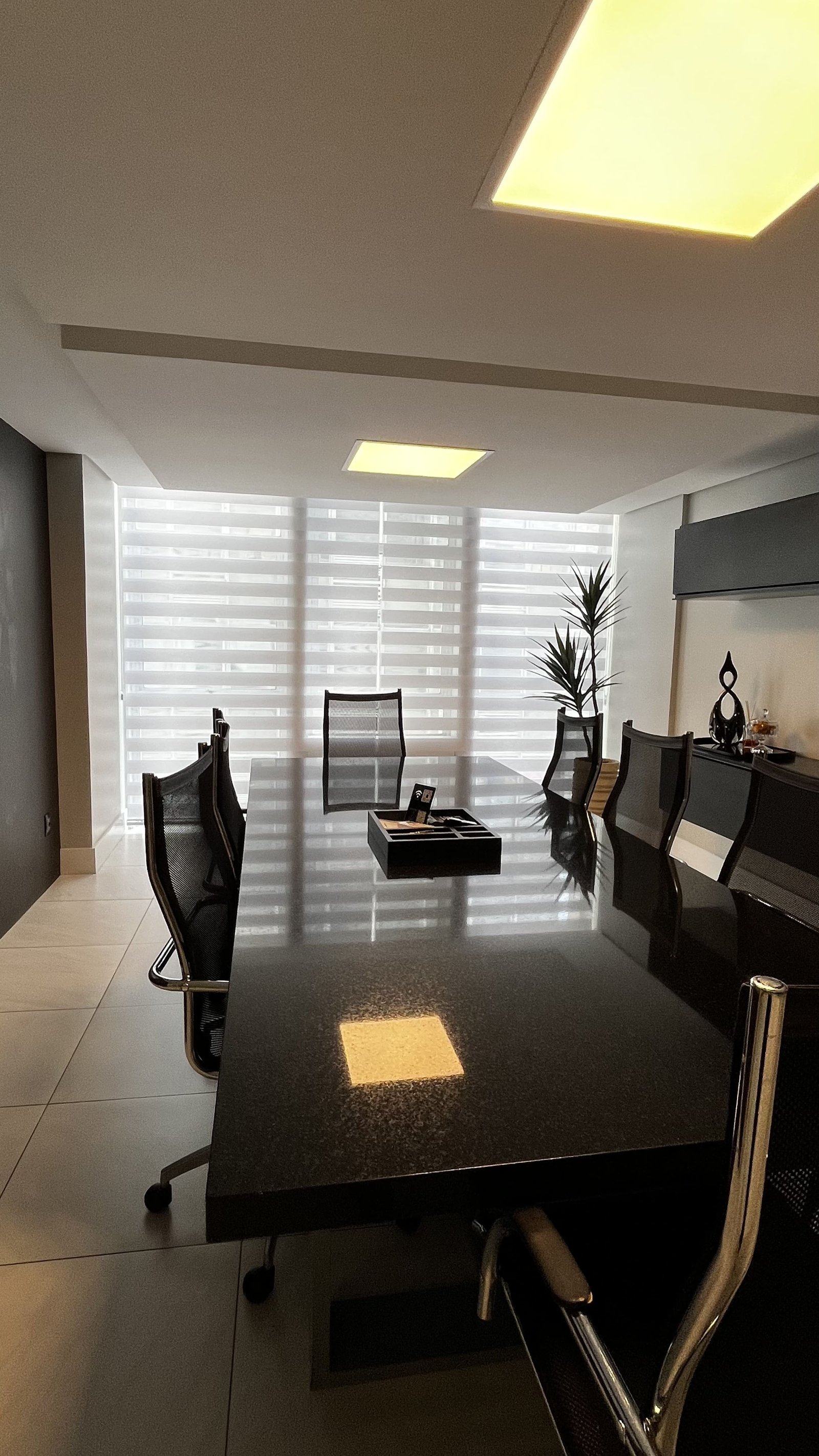 Cortina double vision 1